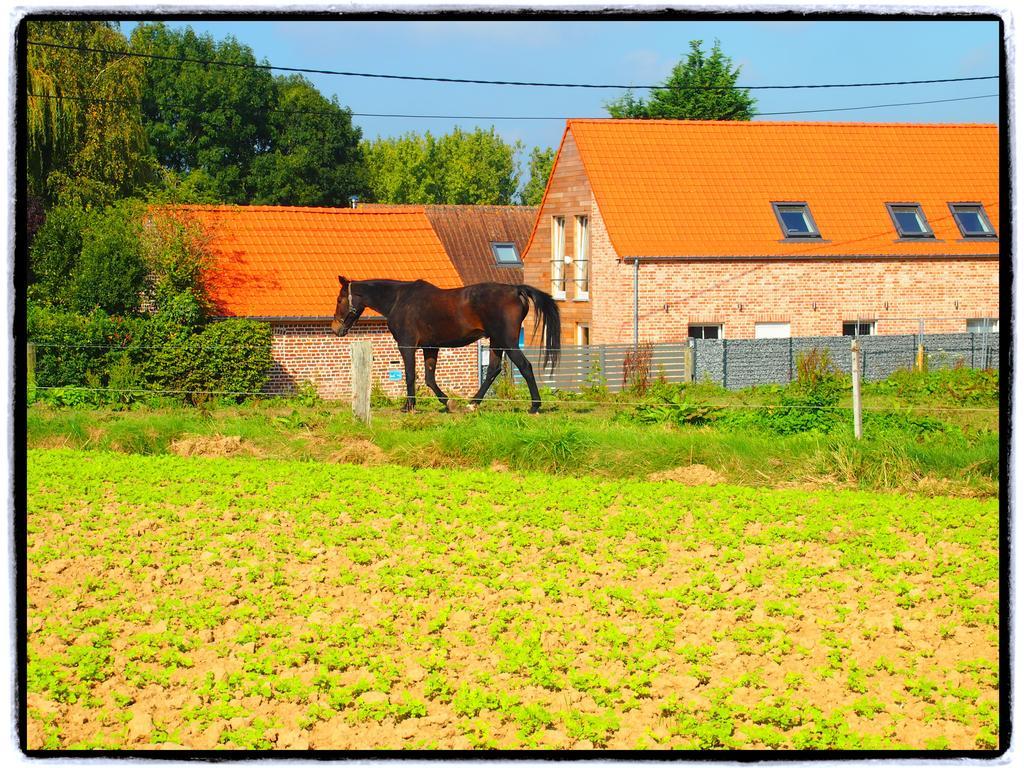 Archipel Holiday Cottage Ellezelles Pokój zdjęcie