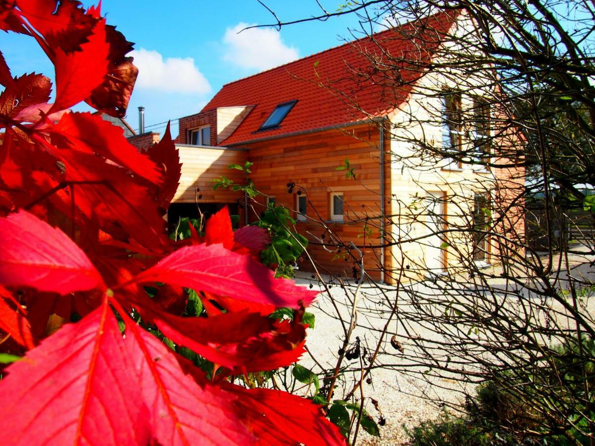 Archipel Holiday Cottage Ellezelles Zewnętrze zdjęcie