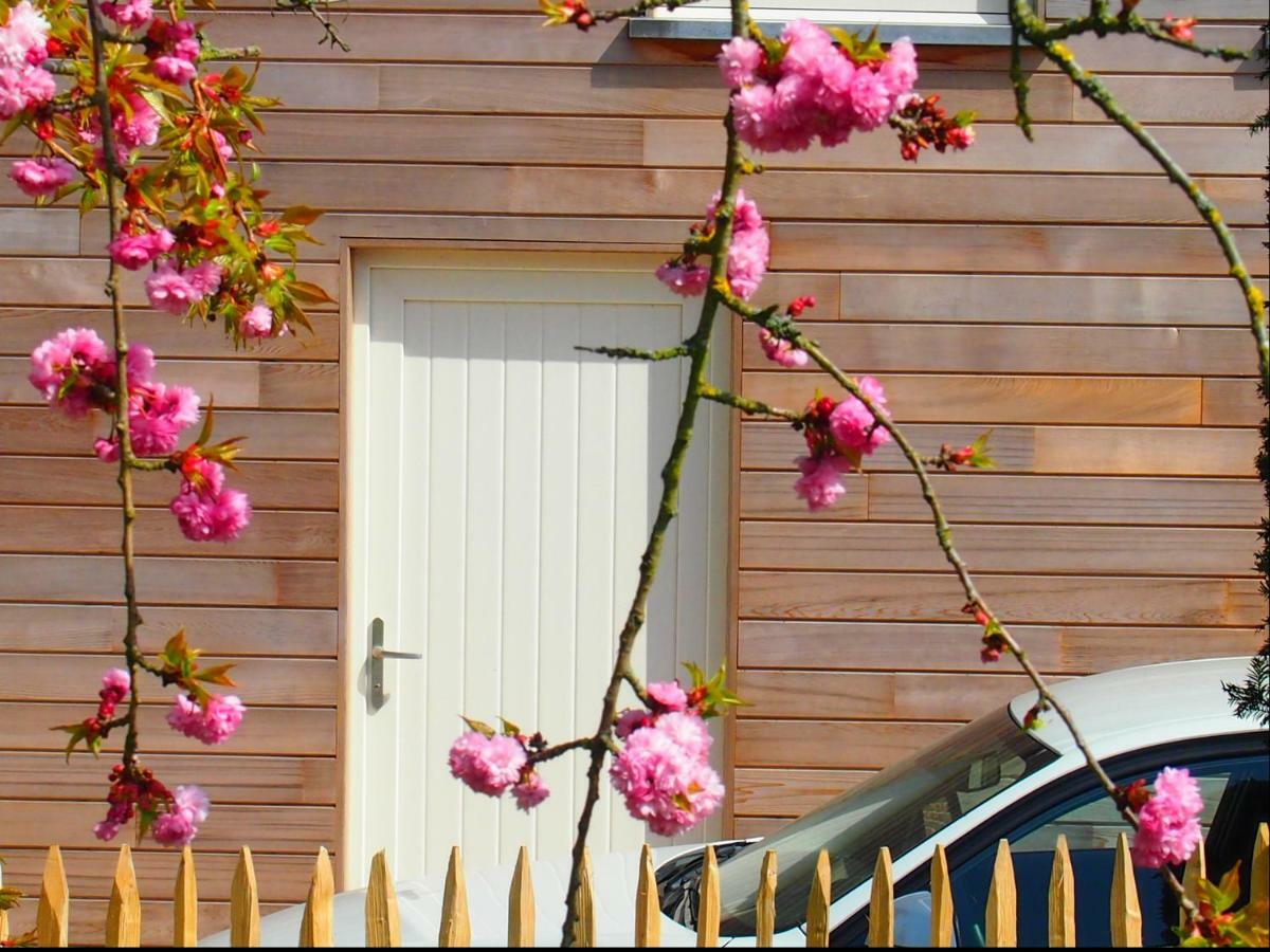 Archipel Holiday Cottage Ellezelles Zewnętrze zdjęcie